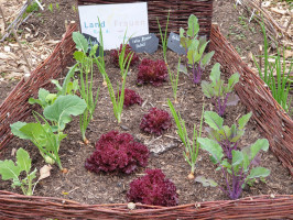 Landfrauen Bad Gandersheim