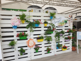 Tolle Wand aus Paletten